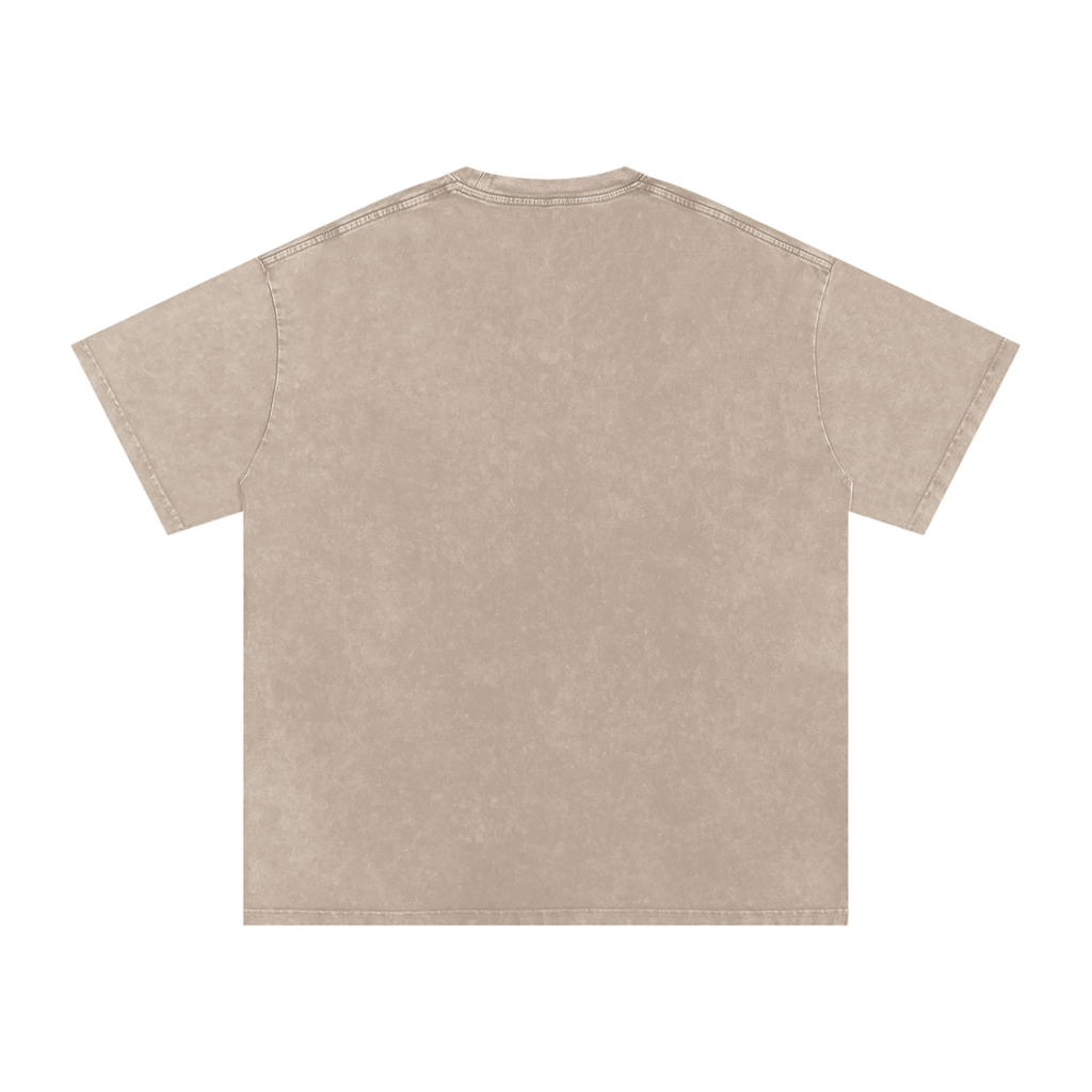 ARMIN ARLERT COLOSSAL TITAN AOT OVERSIZED T SHIRT