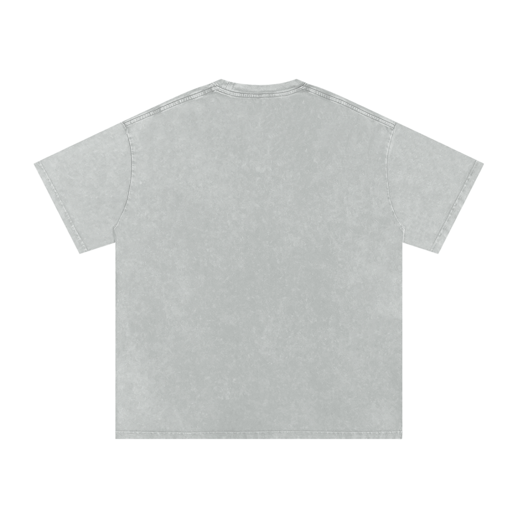 ARMIN ARLERT COLOSSAL TITAN AOT OVERSIZED T SHIRT